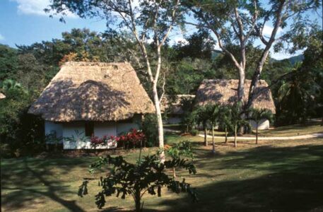 Green Globetrotter: Jungles and Beaches in Belize Image